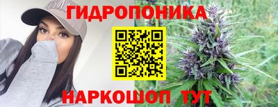 крисы Анапа