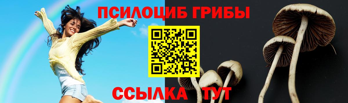 закладка  Вход с VPN  Кубинка  Псилоцибиновые грибы GOLDEN TEACHER 
